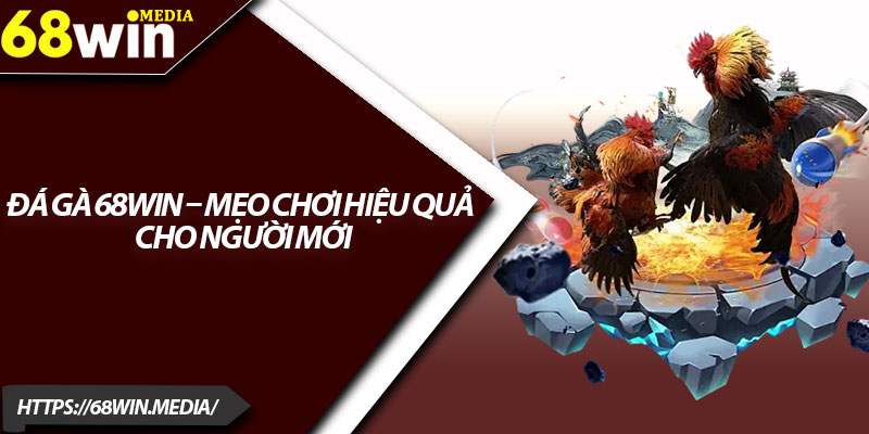 Đá Gà 68win – Mẹo Chơi Hiệu Quả Cho Người Mới 9 Da Ga 68win – Meo Choi Hieu Qua Cho Nguoi Moi